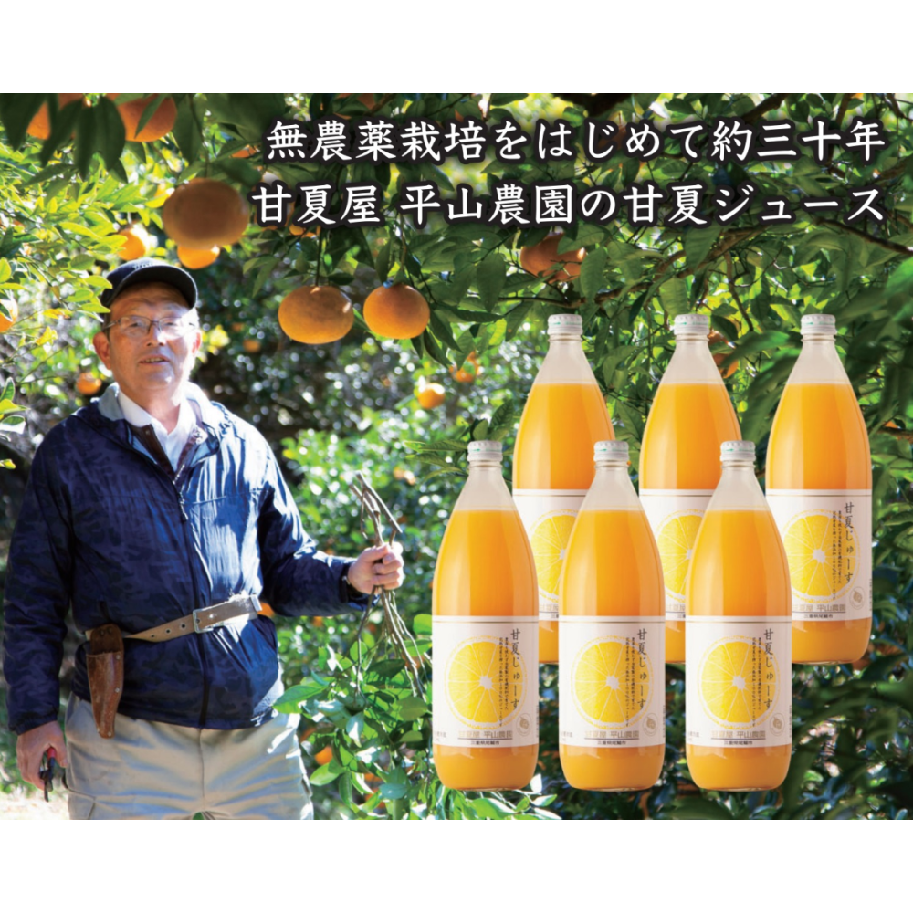 甘夏果汁１００％ジュース《1000ml×3本セット》　Dor　–　Marche