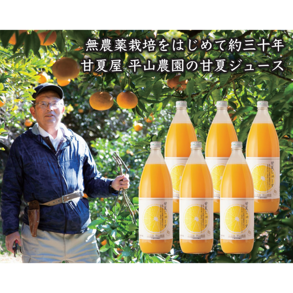 甘夏果汁１００％ジュース《選べる1000ml×3本セット/6本セット